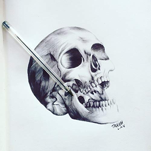 500x500 limited edition print of an original skull bic biro drawing - Biro Drawing
