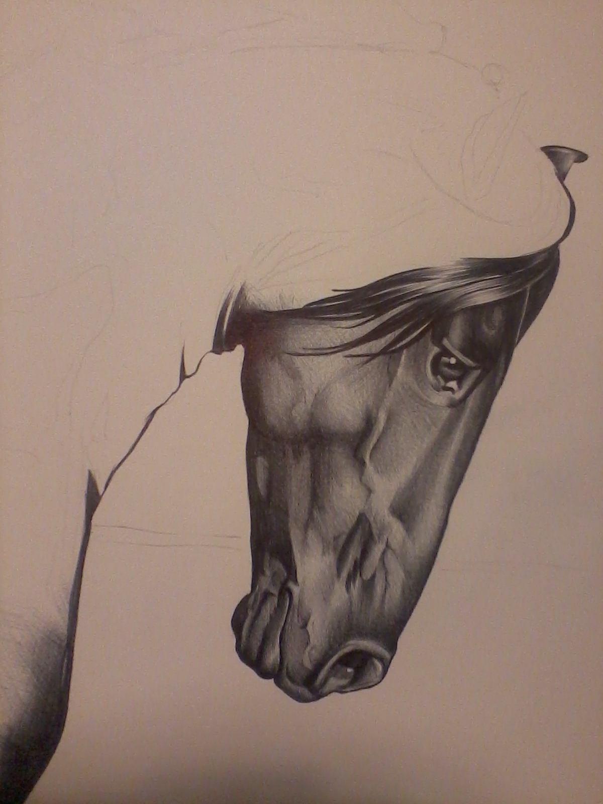 1200x1600 new drawingmassive biro challenge lol - Biro Drawing