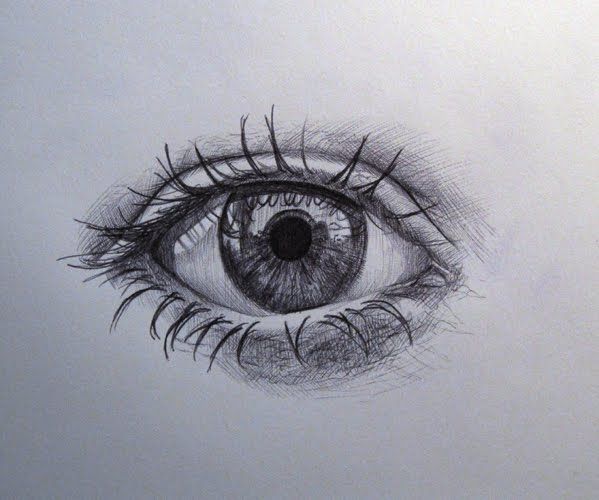 599x500 sketchbook biro experiments drawings in gcse art - Biro Drawing