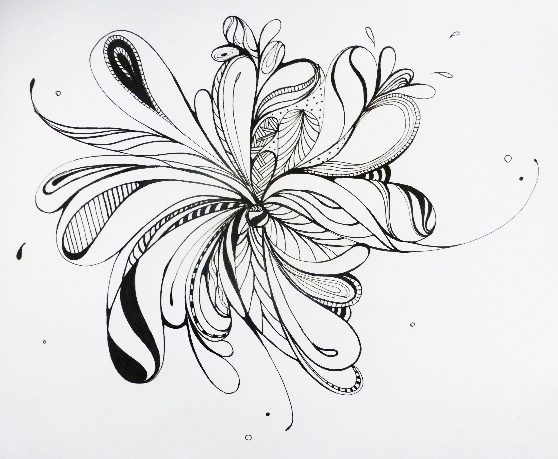 2333x1920 birthday flow zenurdel blog - Birthday Wishes Drawing