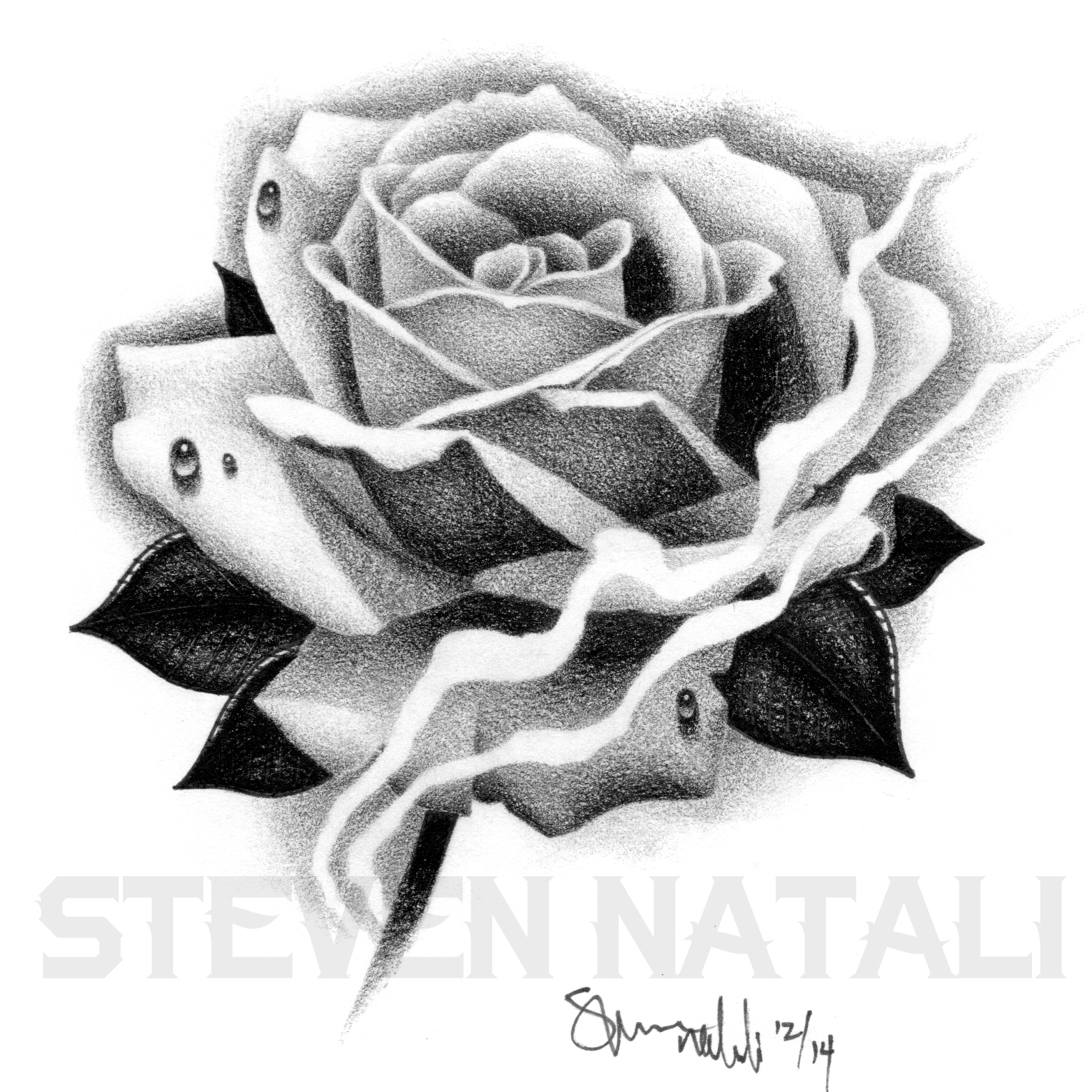 Black And Grey Rose Drawing At Explore Collection Of Black And Grey Rose 