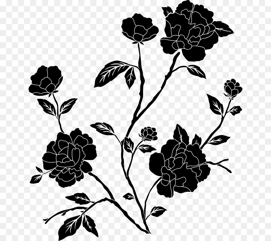 900x800 Rose, Flower, Drawing, Transparent Png Image Clipart Free Download - Black And Grey Rose Drawing