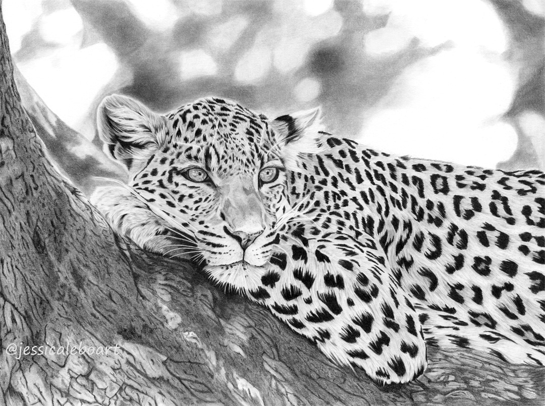 Black And White Earth Drawing at PaintingValley.com | Explore