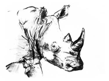 375x281 staring through the mist drawing - Black And White Animal Drawings