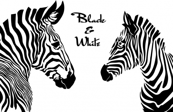 Black And White Animal Drawings At PaintingValley.com | Explore ...