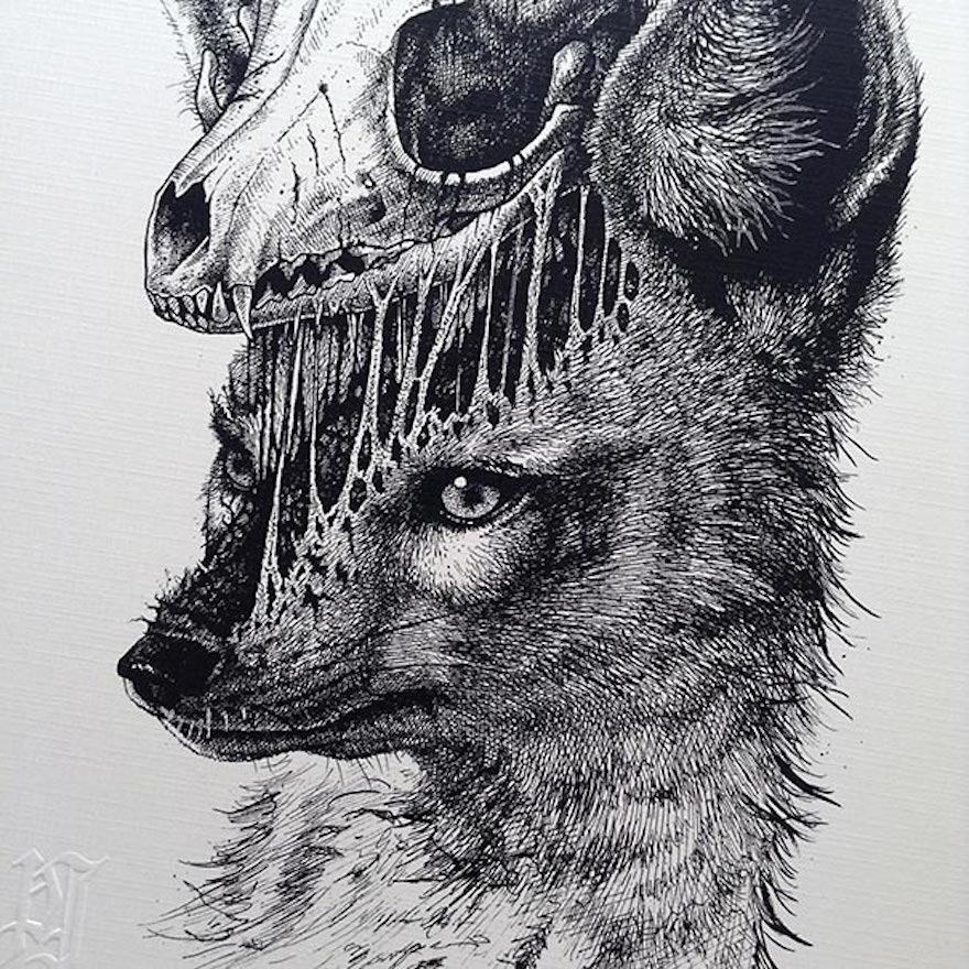 Black And White Animal Drawings at PaintingValley.com | Explore ...