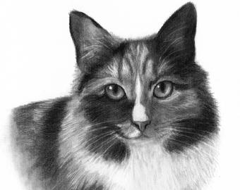 340x270 Cat Drawings Etsy - Black And White Cat Drawing