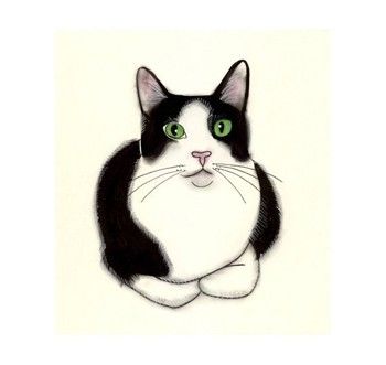 350x331 Tuxedo Cat Art - Black And White Cat Drawing