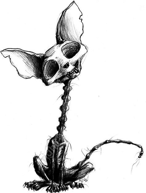 474x626 Black And White, Cat, Desenho, Draw - Black And White Cat Drawing