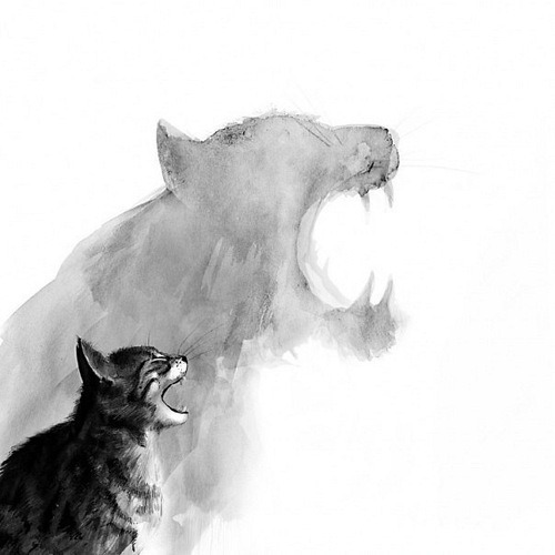 500x500 cat drawing art animals black and white cool white cats black draw - Black And White Cat Drawing