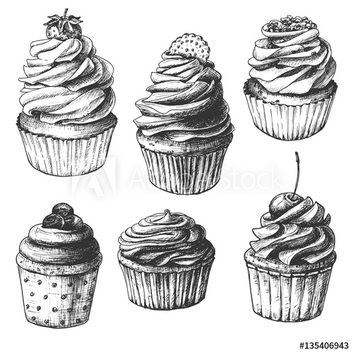 500x500 Hand Drawn Cupcakes, Set Of Vintage Food Sketches, Isolated - Black And White Cupcake Drawing