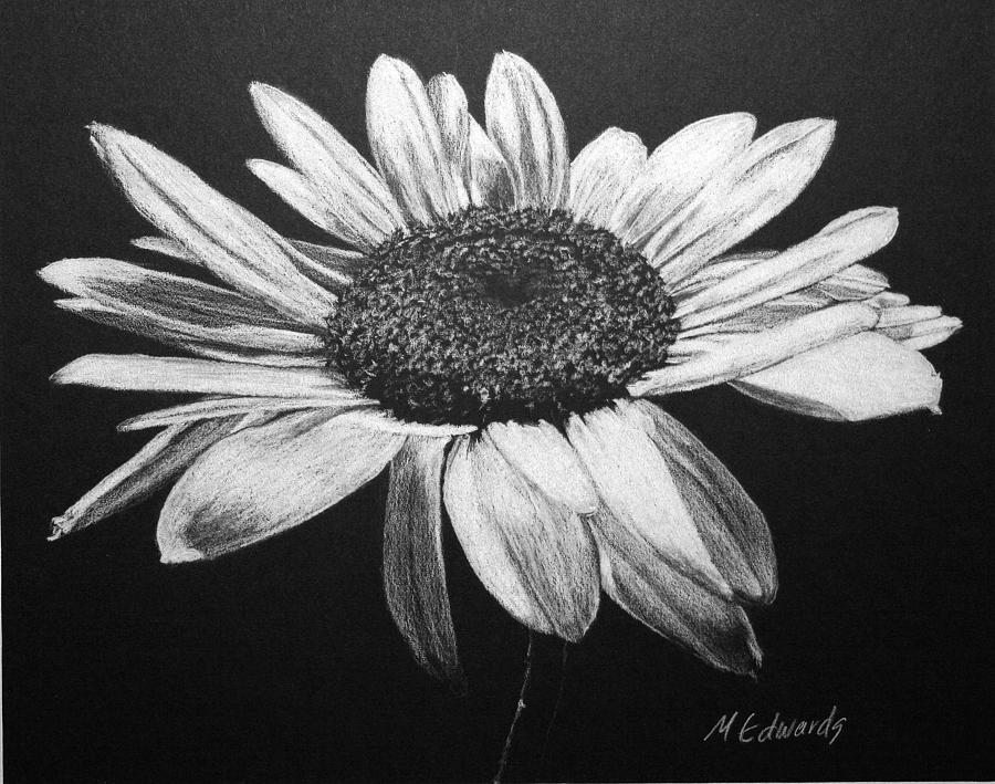 900x709 Daisy I Drawing - Black And White Daisy Drawing
