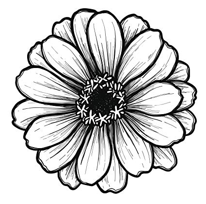 425x420 black and white gerbera gerber daisy sketch vinyl - Black And White Daisy Drawing
