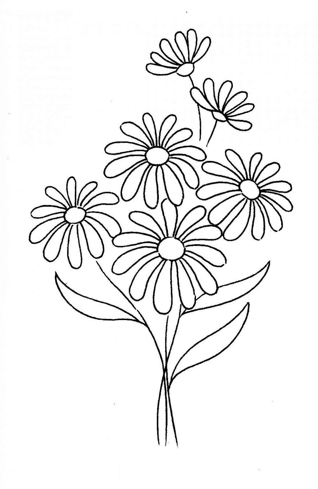 Black And White Daisy Drawing at Explore