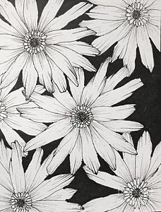 228x300 Black And White Daisy Drawings Fine Art America - Black And White Daisy Drawing