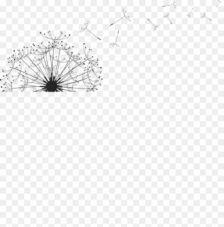740x750 Dandelion Drawing White Cc0 - Black And White Dandelion Drawing