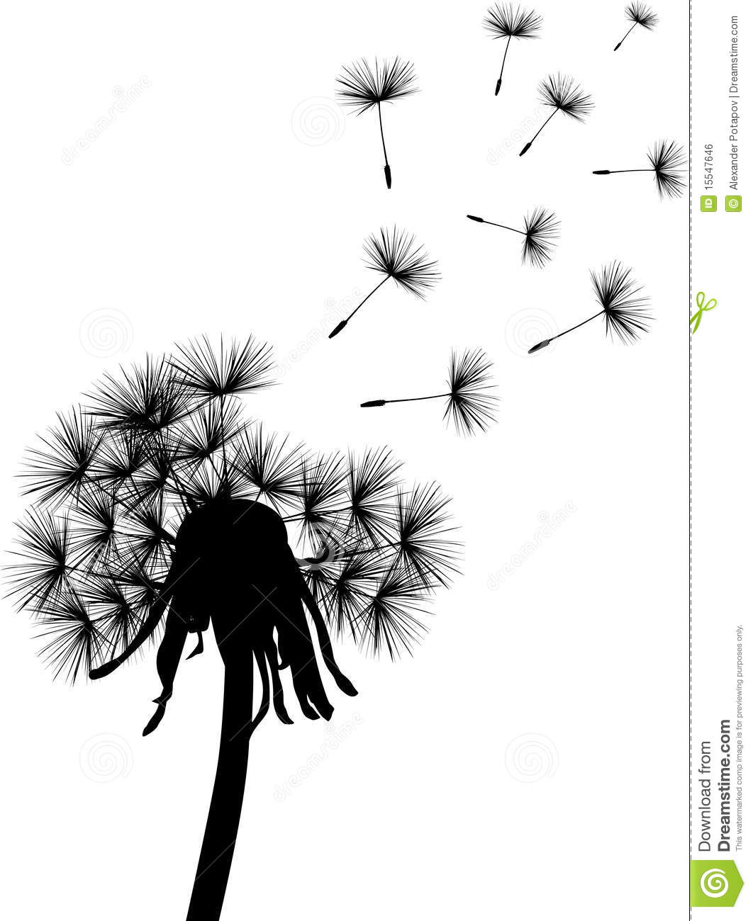 1062x1300 Black And White Dandelion Wallpaper - Black And White Dandelion Drawing