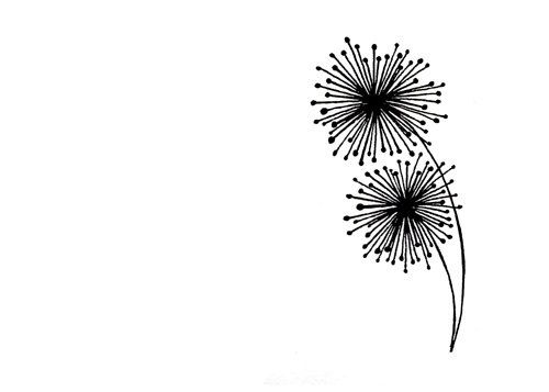 500x357 Simple Dandelion Line Drawing - Black And White Dandelion Drawing