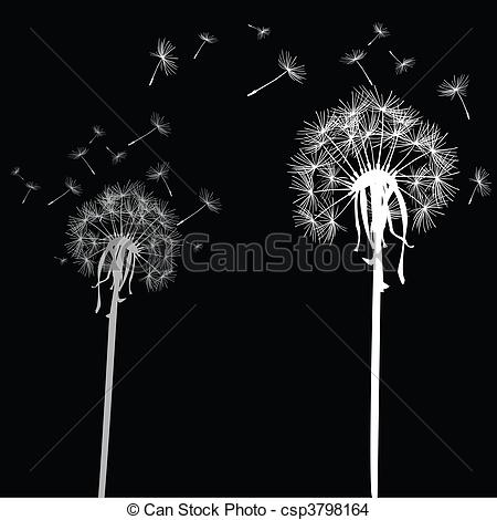 450x470 White Dandelions On Black Background - Black And White Dandelion Drawing