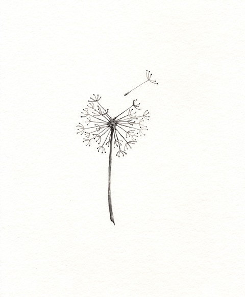 480x582 Love Black And White Etsy Cast Dandelion Gray Ifttt Tt Team - Black And White Dandelion Drawing