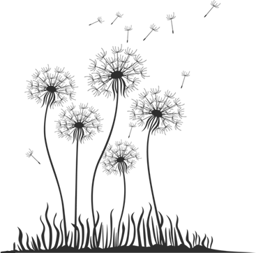 367x362 Dandelions Drawing Wall Huge Freebie! Download For Powerpoint - Black And White Dandelion Drawing
