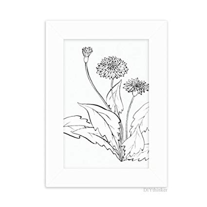 425x425  - Black And White Dandelion Drawing