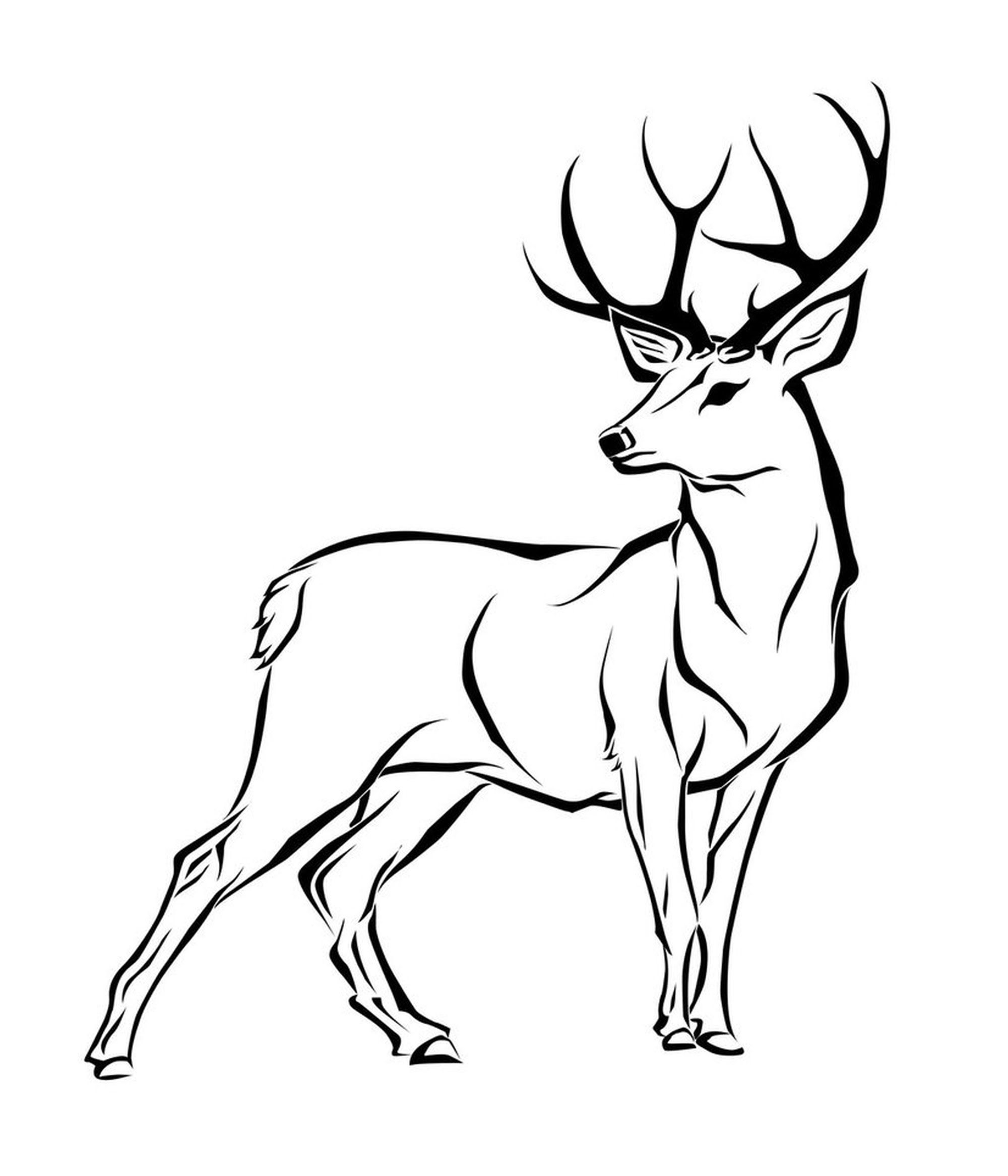 2000x2333 How To Draw A Deer - Black And White Deer Drawing