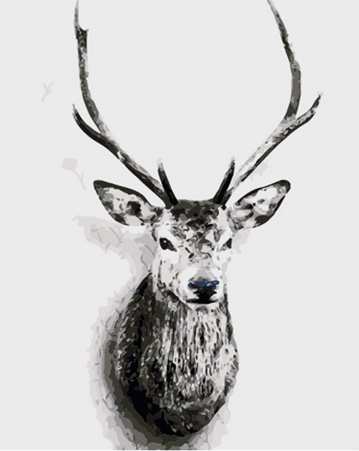 510x640 Ykxllw Black And White Deer Head Oil Painting Picture - Black And White Deer Drawing