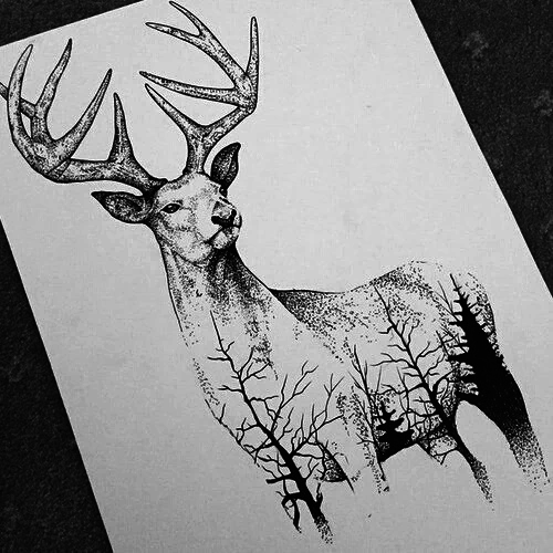 500x500 Amazing, Art, Black And White, Cool, Deer, Drawing, Paper - Black And White Deer Drawing