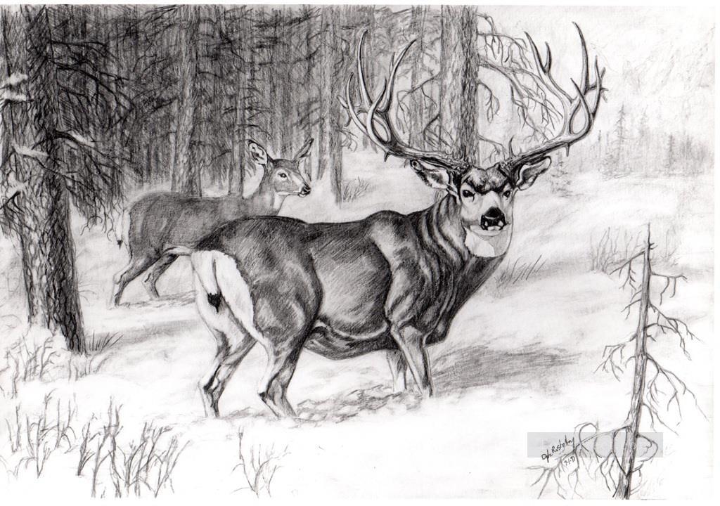 1024x720 Deer Pencil Drawing Black And White Painting In Oil For Sale - Black And White Deer Drawing