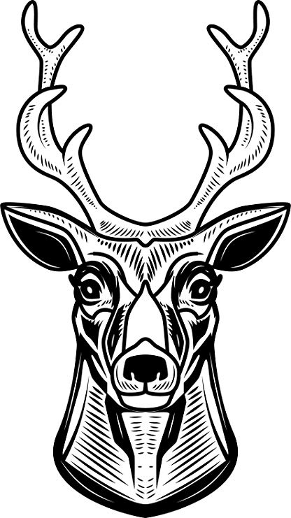 416x741 Black And White Line Art Deer Head Trophy Cartoon - Black And White Deer Drawing