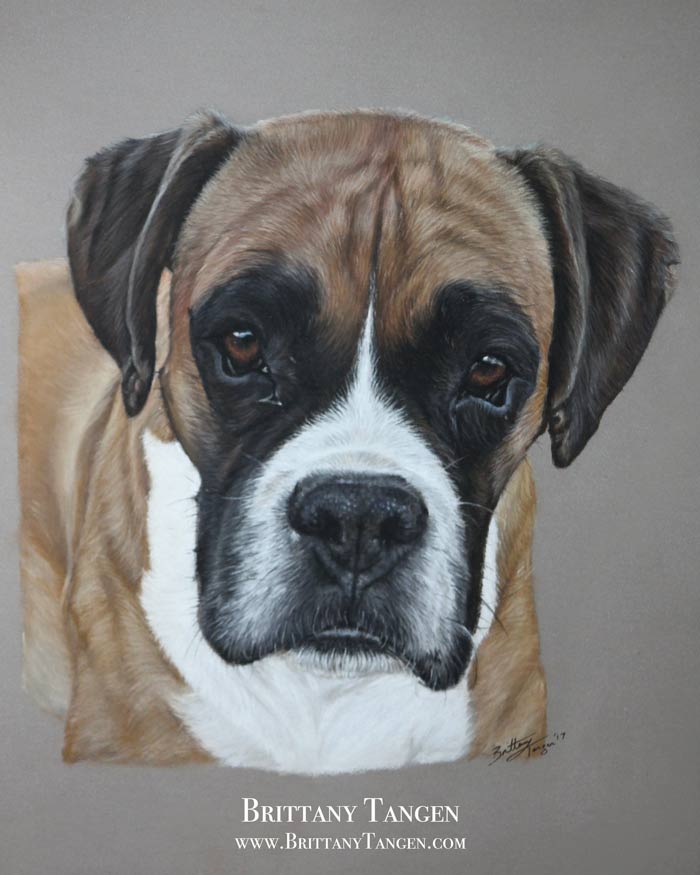 700x875 Dog Gallery - Black And White Dog Drawing