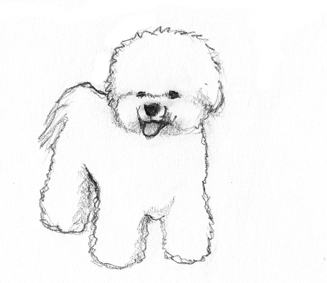 650x562 Dog Sketches - Black And White Dog Drawing