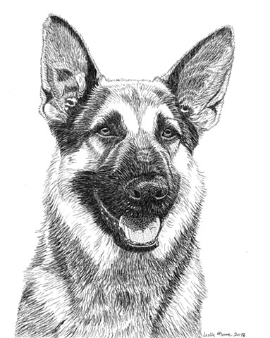 383x480 Leslie Moore - Black And White Dog Drawing