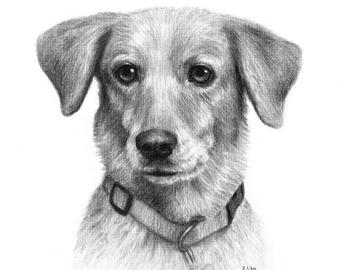 340x270 Custom Pet Drawing Etsy - Black And White Dog Drawing
