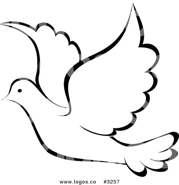 600x620 Dove Outline Drawing Hand Drawn Dove Bird Vector Illustration - Black And White Dove Drawing