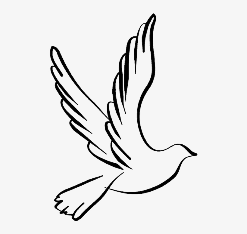 820x778 White Dove Clipart Dove Open Wing - Black And White Dove Drawing