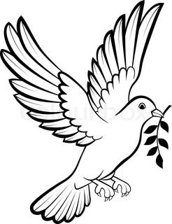 246x320 Bird Designs Line Drawing - Black And White Dove Drawing