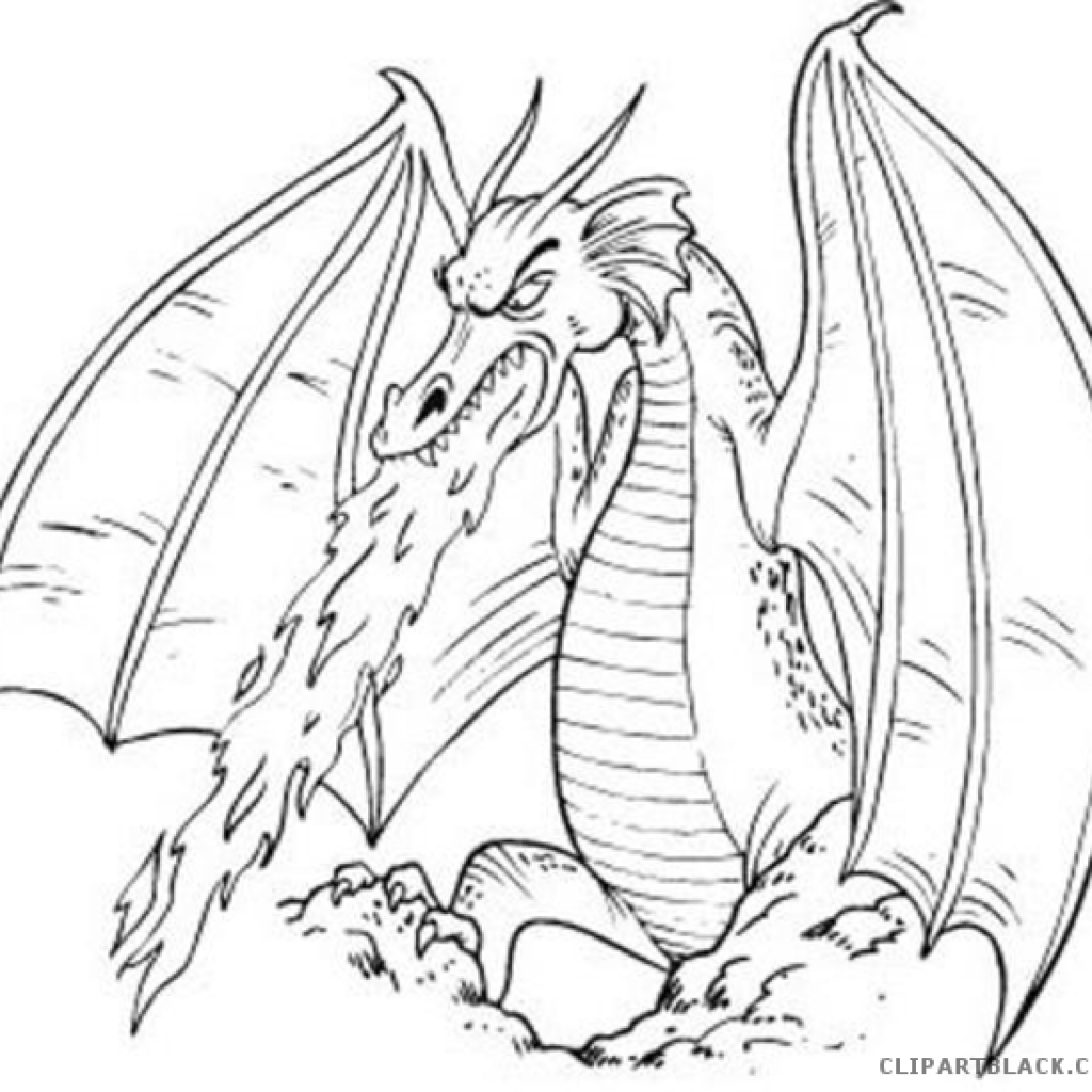 Black And White Dragon Drawings At Paintingvalleycom