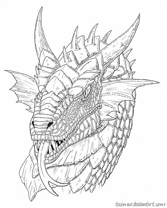 540x674 Pin On To Sketch - Black And White Dragon Drawings