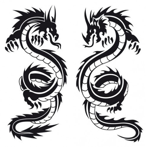 495x498 tribal dragon tattoos dragon tribal within black and white dragon - Black And White Dragon Drawings