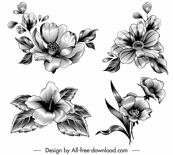 600x538 Flower Icons Black White Retro Sketch Free Vector In Adobe - Black And White Drawing Designs
