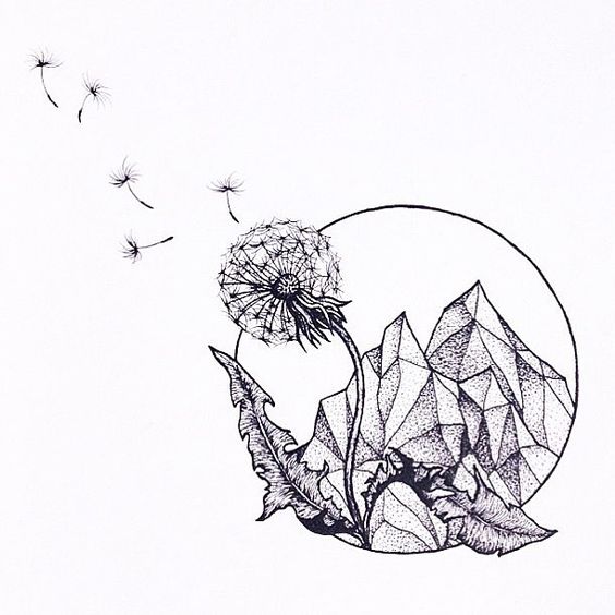 564x564 Dandelion Drawing Easy For Free Download - Black And White Drawing Ideas