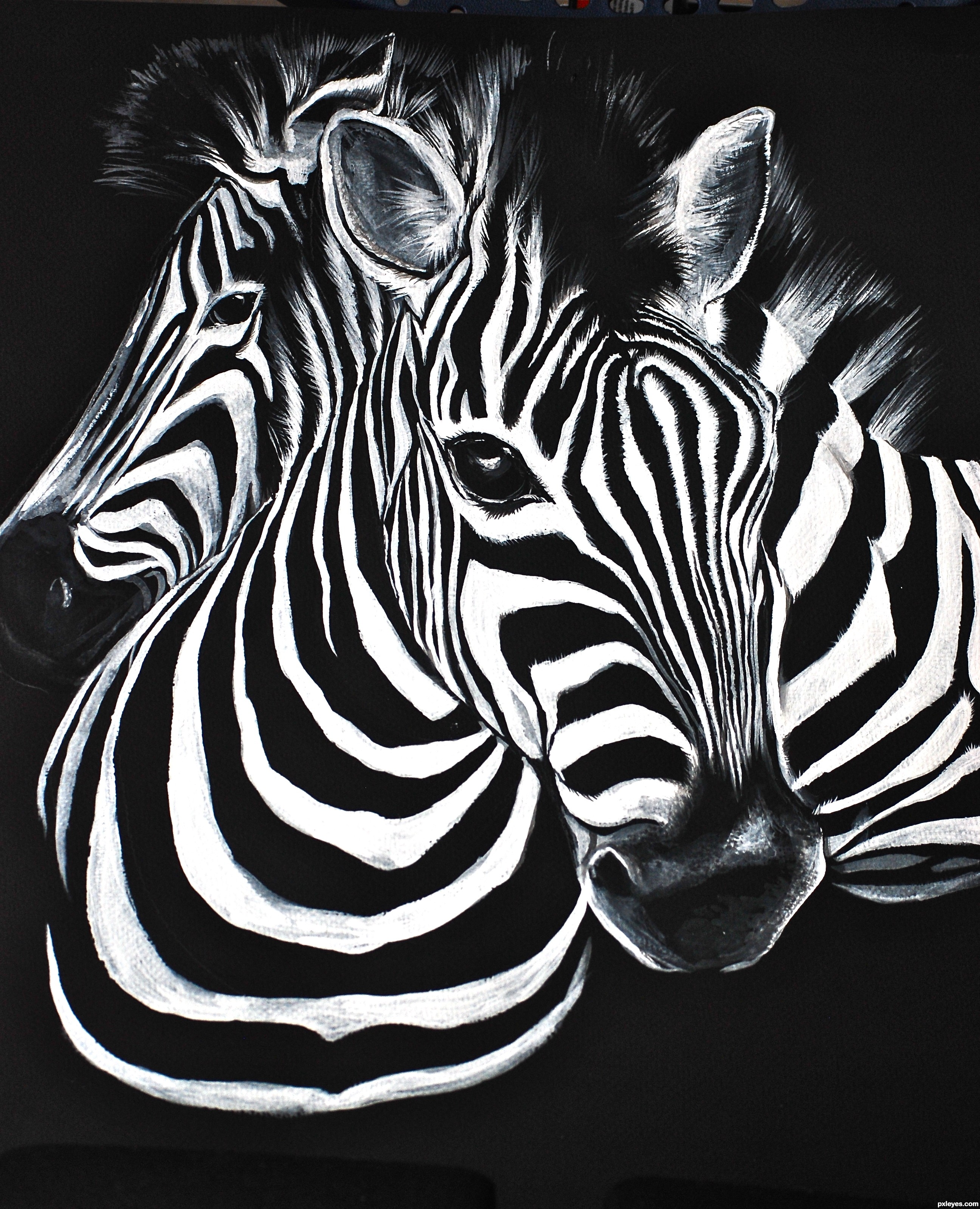 2592x3198 Painted Zebras Picture - Black And White Drawing Images