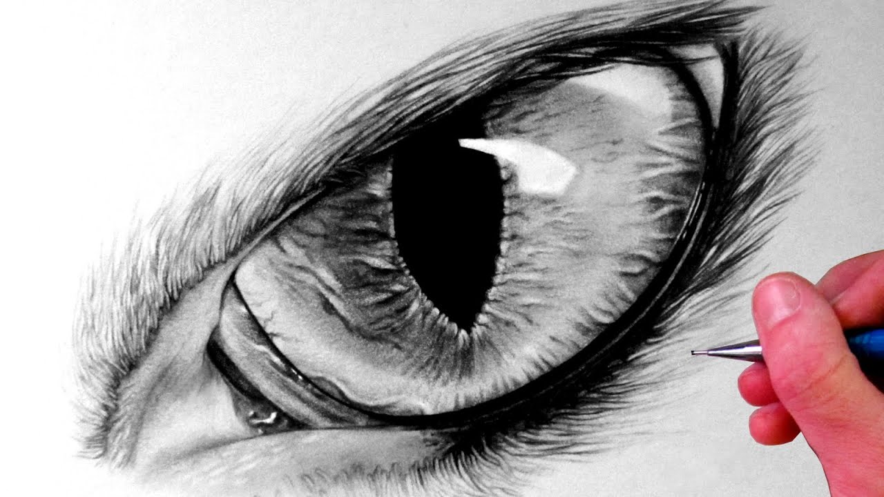 1280x720 How To Draw A Cat Eye - Black And White Drawing Of A Cat