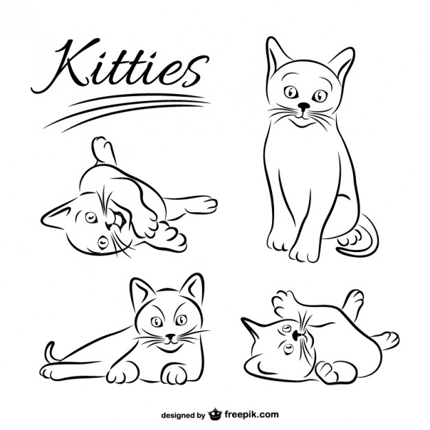626x626 Black Cat Vectors, Photos And Free Download - Black And White Drawing Of A Cat