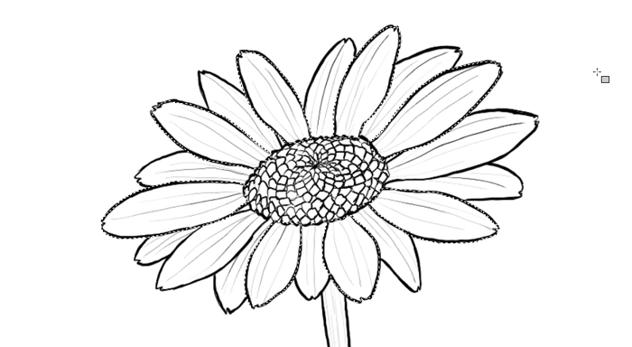 700x384 How To Draw Flowers The Innocent And Cheerful Daisy - Black And White Drawing Of A Flower