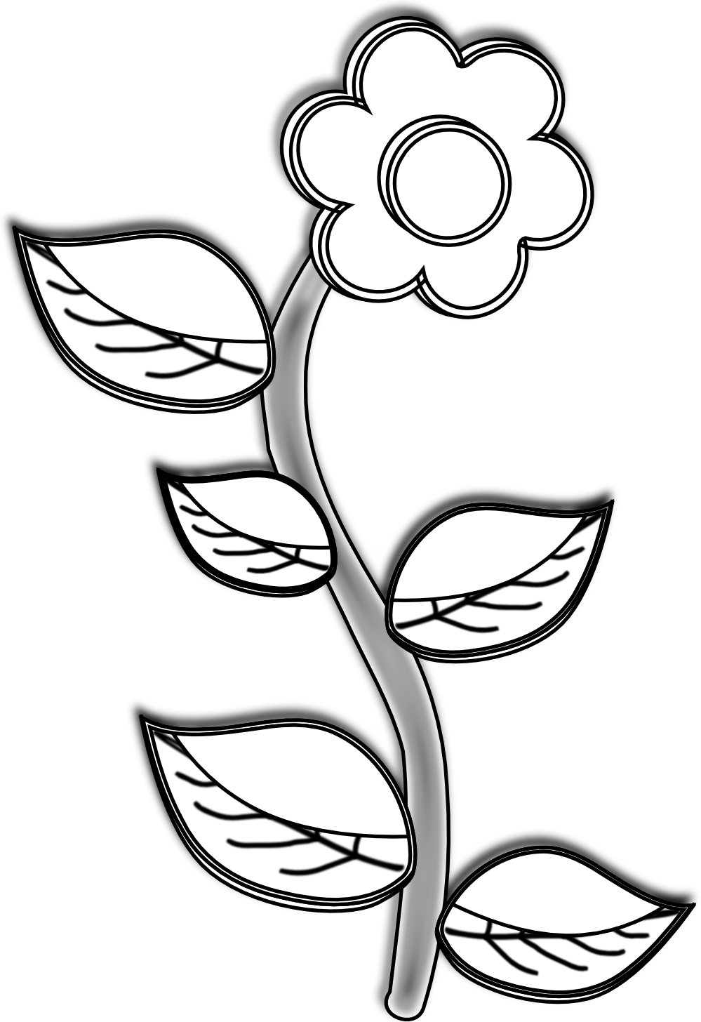 999x1456 Jasmine Flower Picture Royalty Free Stock Black And White - Black And White Drawing Of A Flower