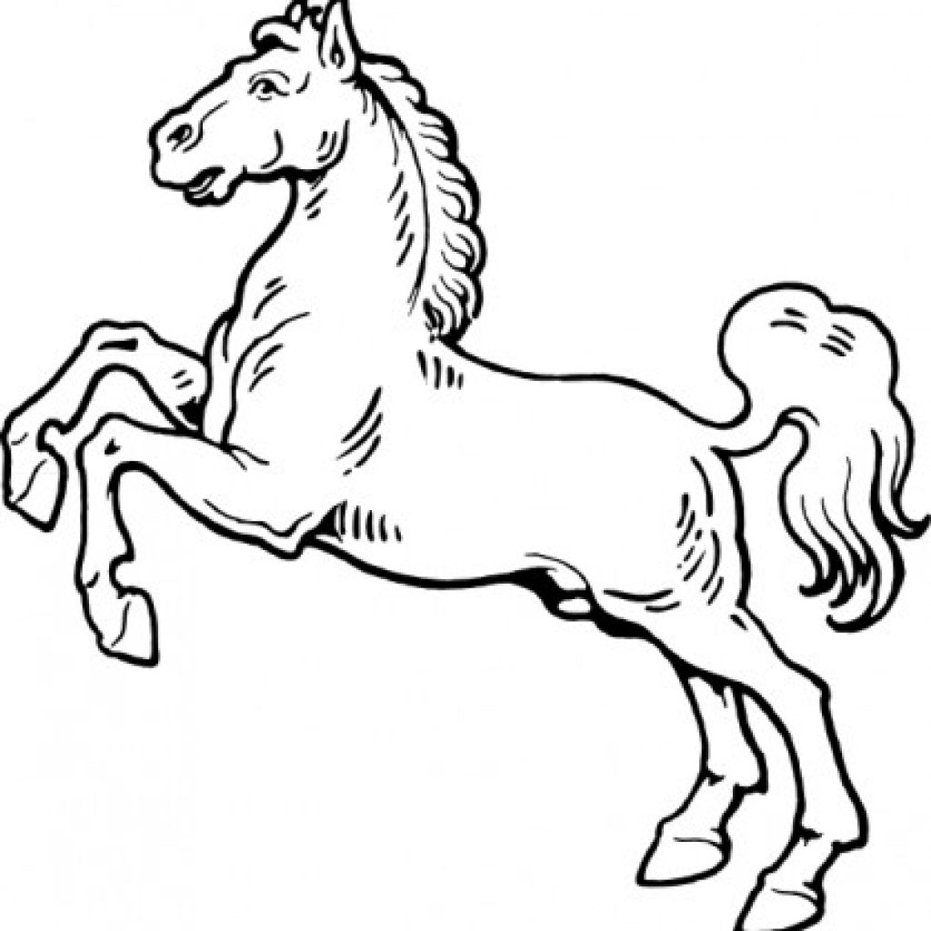 1024x1024 Horse Clipart Black And White Dinosaur Clipart House Clipart - Black And White Drawing Of A Horse