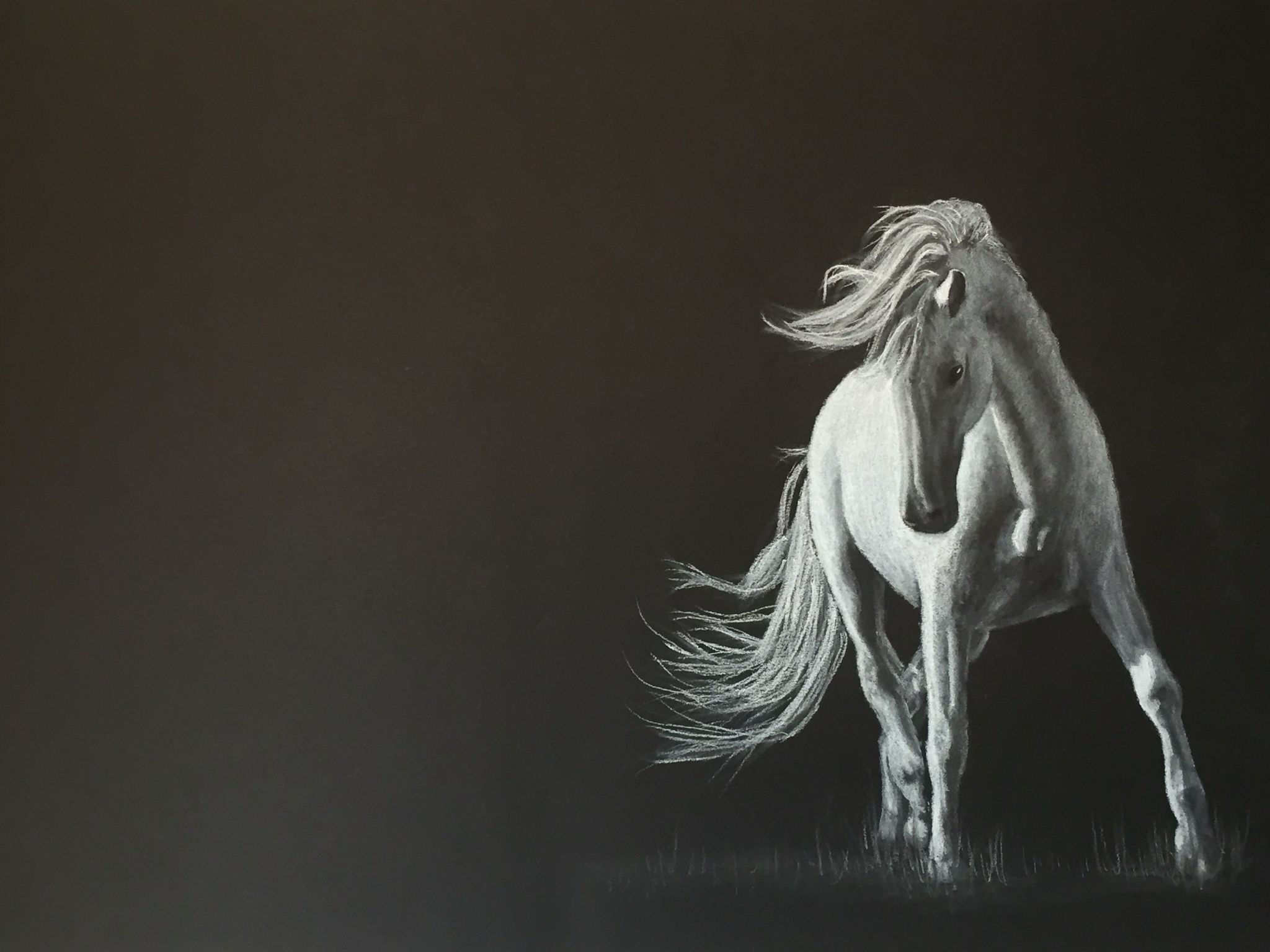 2048x1536 horse drawing white charcoal on black artagain paper photo ref - Black And White Drawing Of A Horse